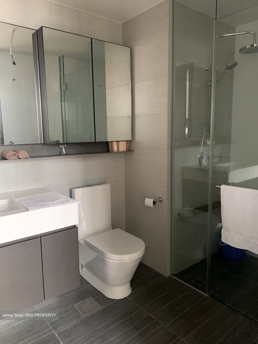Botanique At Bartley (D19), Condominium #345875881
